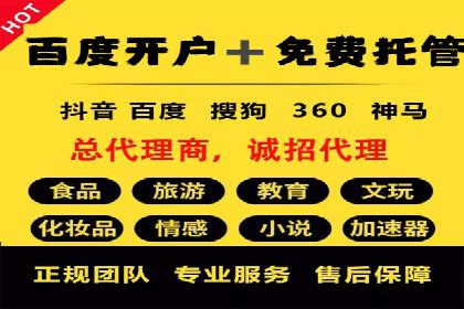 SEM推广实战：成功案例剖析